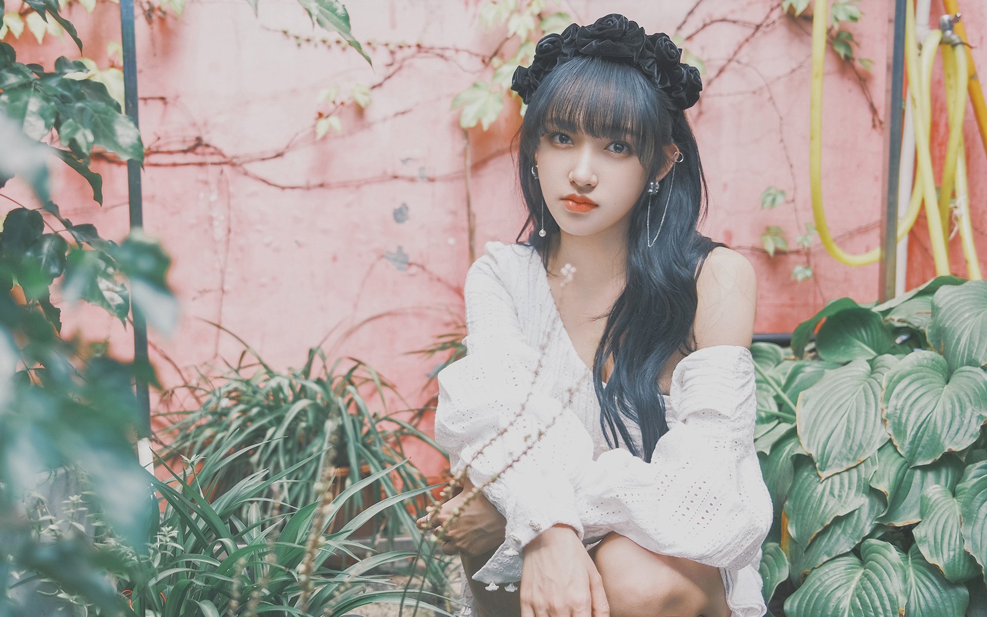 破晓时分，速度与策略的双重变奏