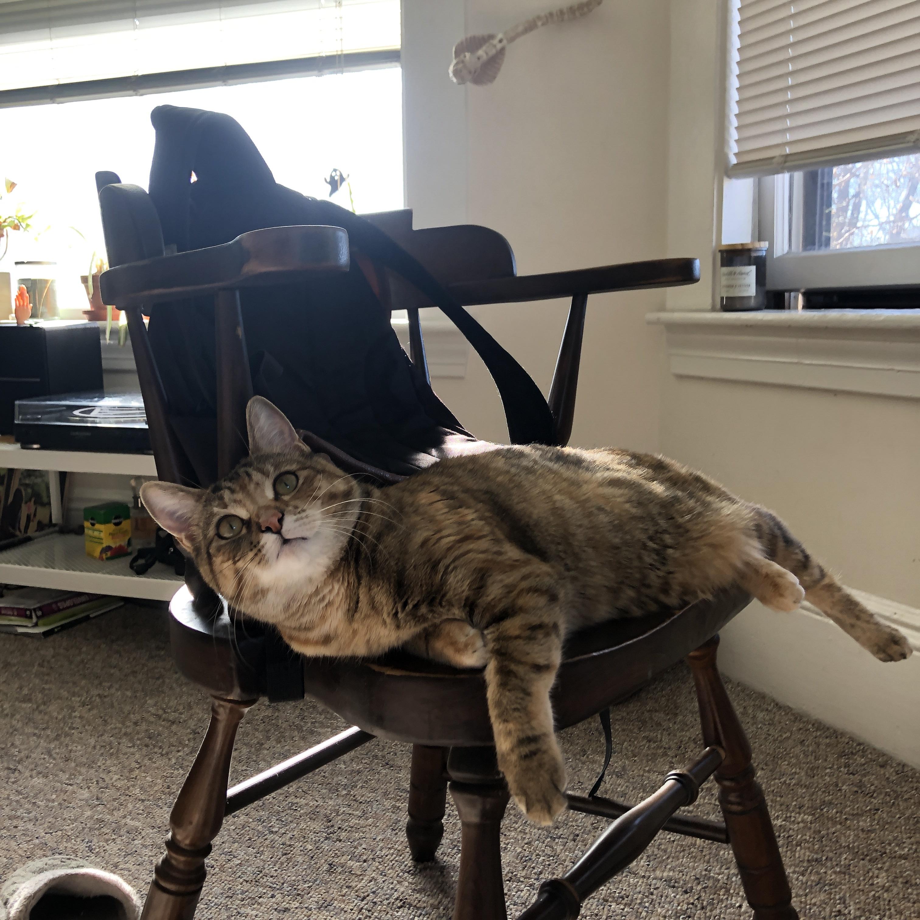 非洲雄鹰压哨撕裂钢铁洪流,格纳布里在年度慈善焦点战接管比赛