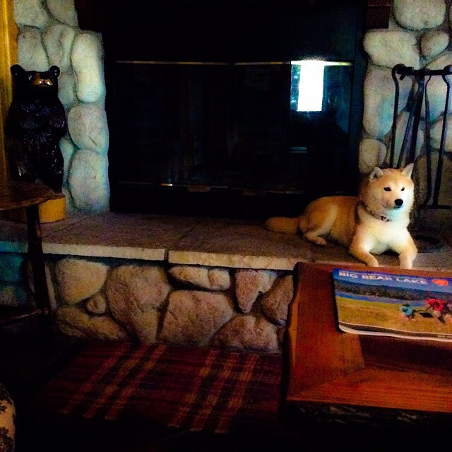 37岁打出27岁数据，詹姆斯诠释何为时间假象，篮网团队篮球碾压快船单打美学