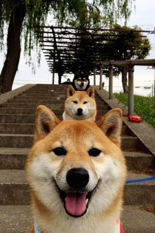 霍勒迪末节统治攻防，火箭发力带走开拓者赢下关键排名战