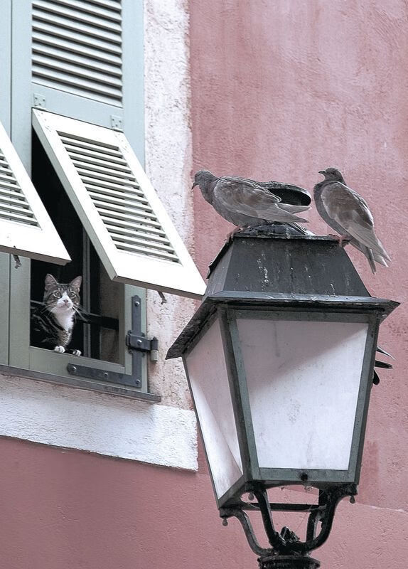 当绿茵场化为季后赛舞台，今夜，黄喜灿上演篮球式终极个人秀