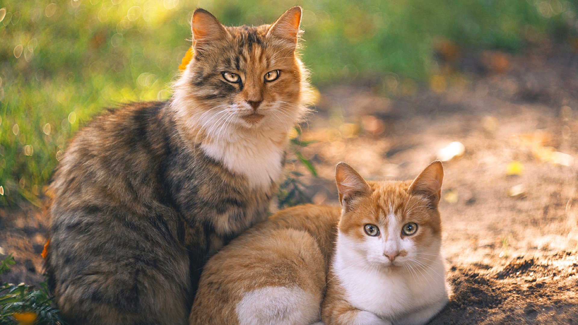 从记录员到救世主，戈麦斯与那个颠覆定义的西决生死夜