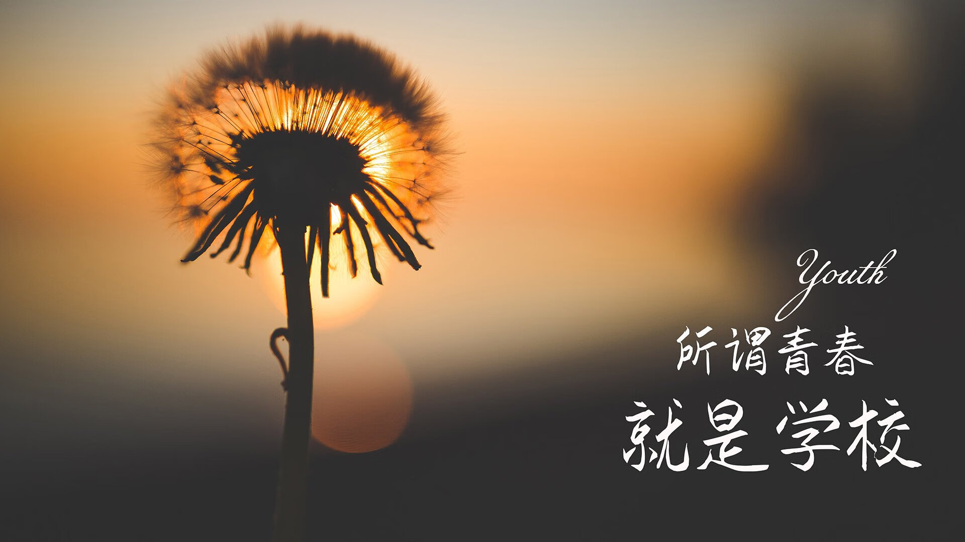 这是一篇为您定制的文章,以唯一性为核心,聚焦2026世界杯的黑马之战与坎塞洛的绝佳表现